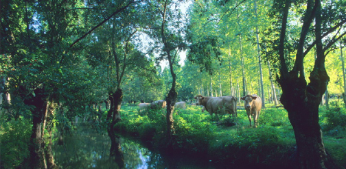 Valle de Chevreuse