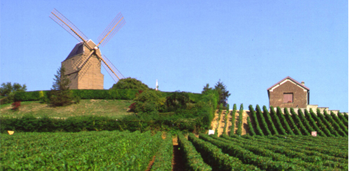 Escape 24h in the Champagne region 