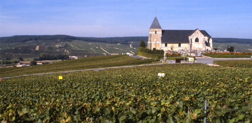 Evadez-vous une journe en Champagne