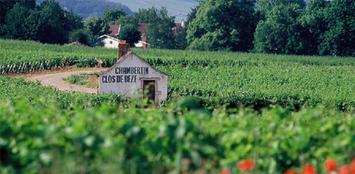 Evadez-vous une journe en Bourgogne